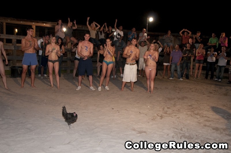 La festa del college diventa presto un'orgia hardcore del college
 #74599175