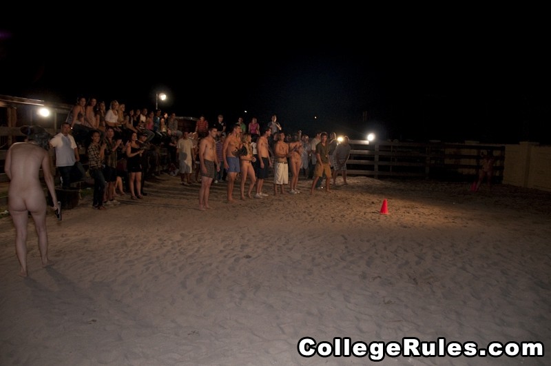 College-Party wird bald zu einer Hardcore-College-Orgie
 #74599187