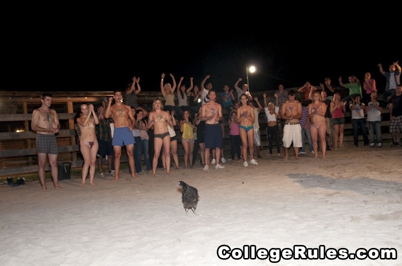 College-Party wird bald zu einer Hardcore-College-Orgie
 #74599192