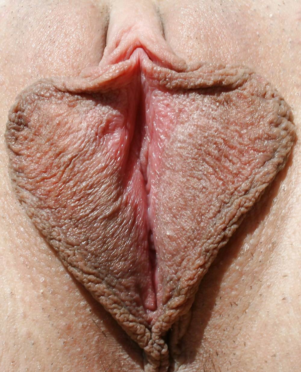 women stretching their pussy lips wide open #73219719
