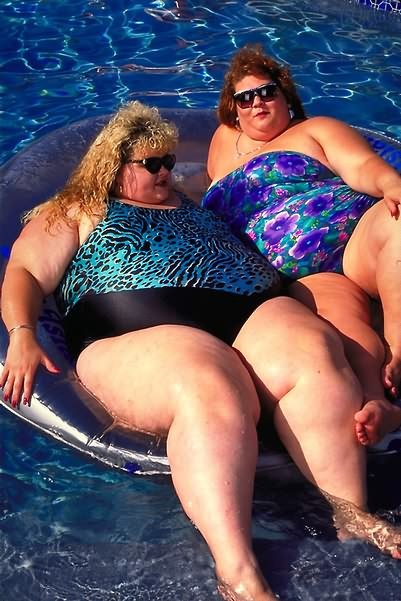 Couple of giant fat whales swimming #75588637