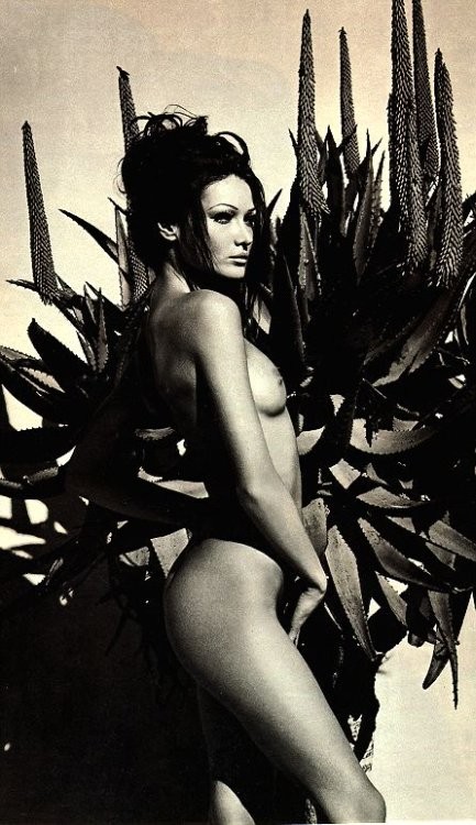 Carla Bruni the french presidents wife topless and naked #75416095
