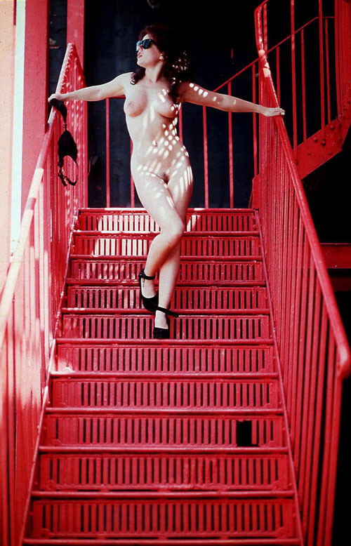 Geri Halliwell zeigt ihre haarige Muschi und posiert ganz nackt
 #75438146