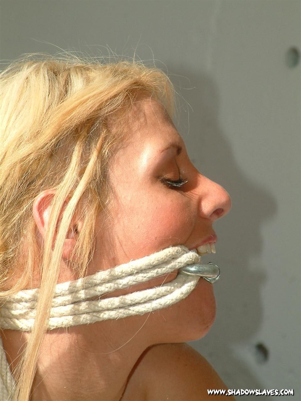 Rubia atada a la luz del sol
 #72220117