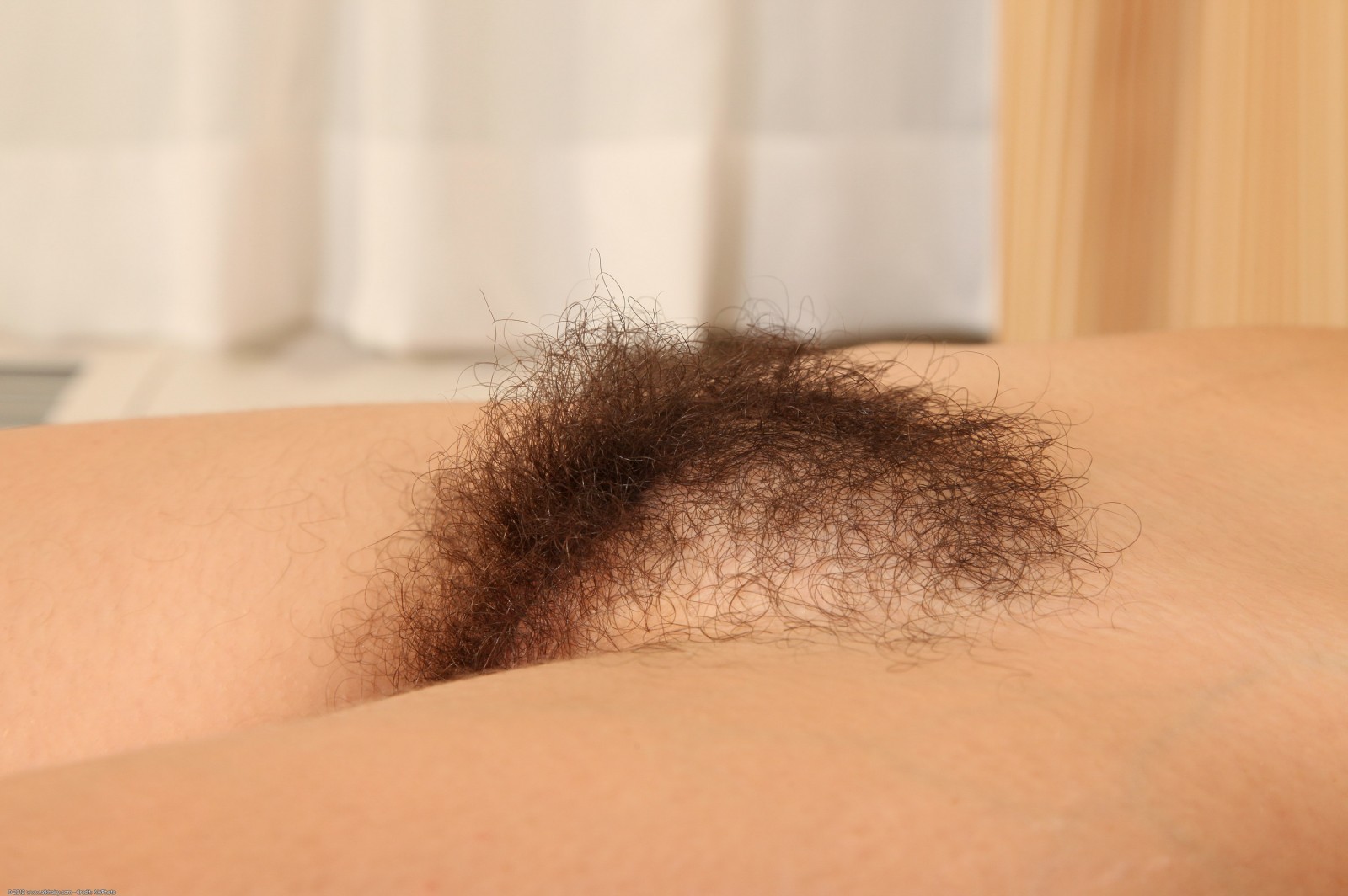 Hirsute natürlichen Amateur necken in Höschen
 #68399868