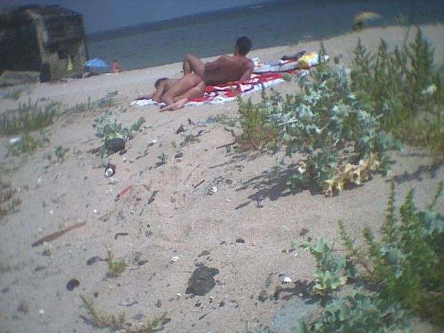 裸のビーチでポーズをとるパーキーバストのセクシーなベイブ
 #72251842
