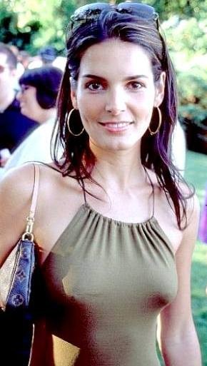 beautiful brunette actress Angie Harmon nudes and see thrus #72730313