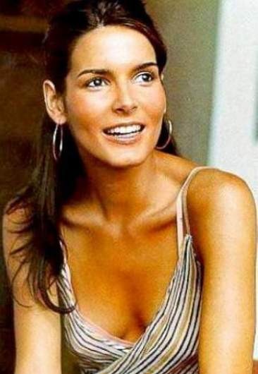 beautiful brunette actress Angie Harmon nudes and see thrus #72730338