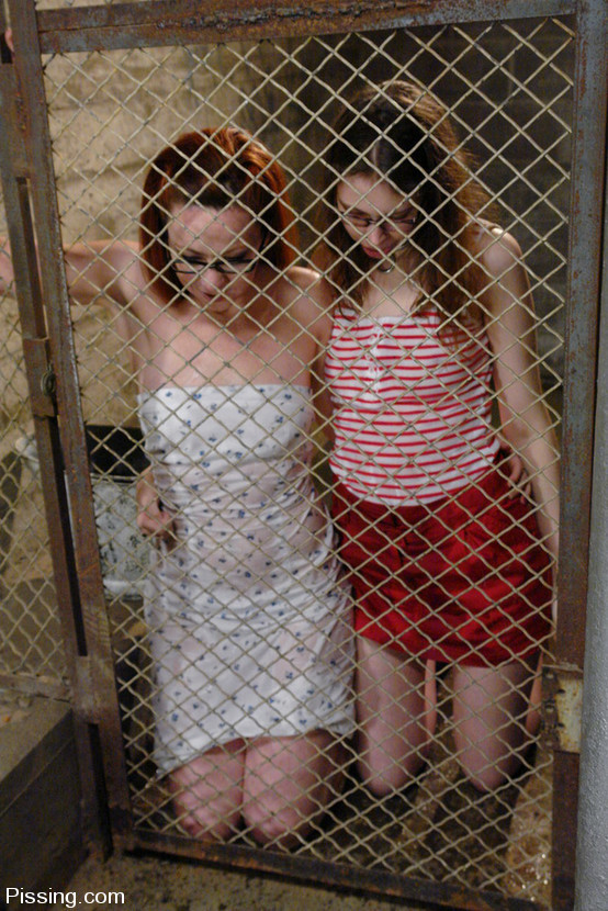 Two beautiful woman locked in a cage pissing in a bucket #73254418