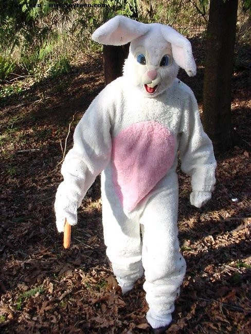 Conejo de Pascua folla a una rubia con una zanahoria
 #70627121