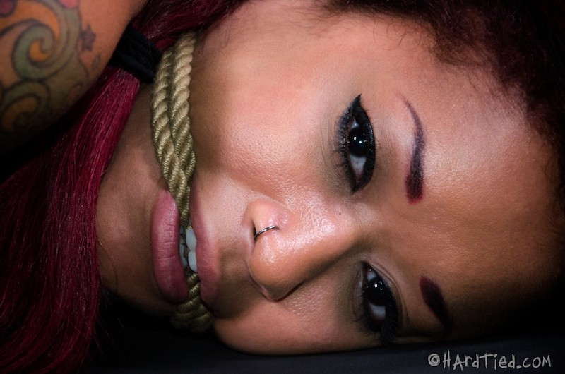 Skin Diamond, rousse, attachée par des cordes dans un donjon, son cul est baisé avec des jouets.
 #71965815