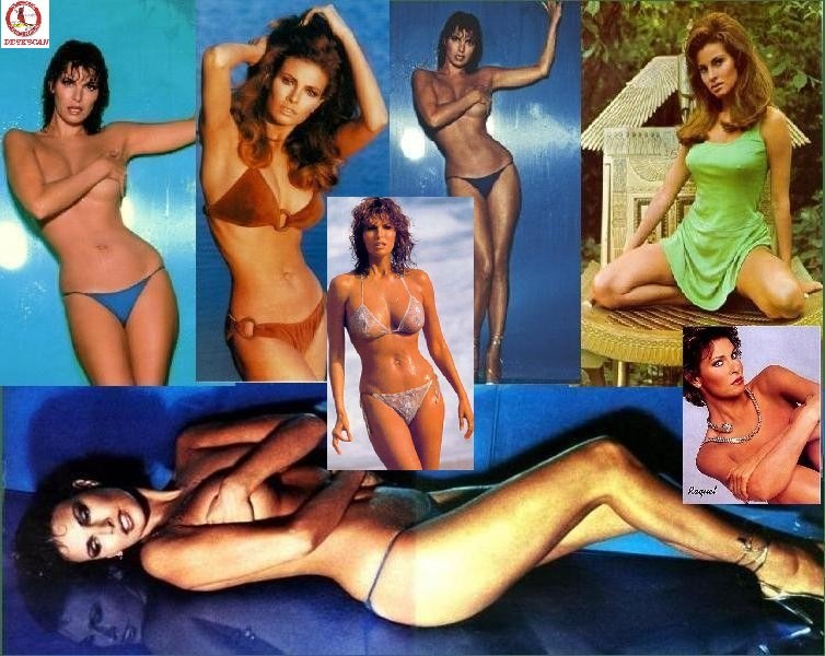Hollywood legend Raquel Welch collection of see thru shots #72733315