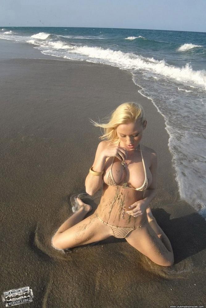 Madison Scott rolls around naked at the beach #72291601