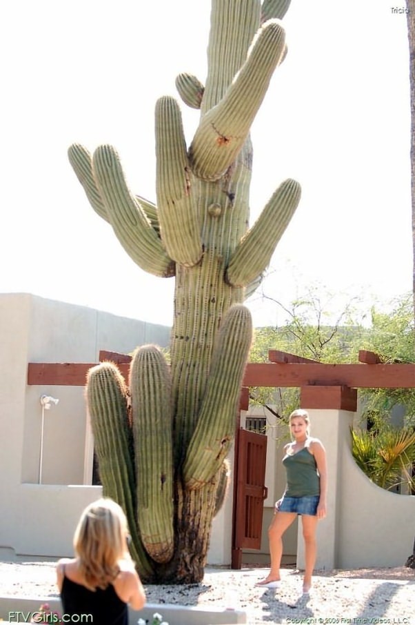 Adorable rubia joven flashing público y toying a orgasmos
 #76340708