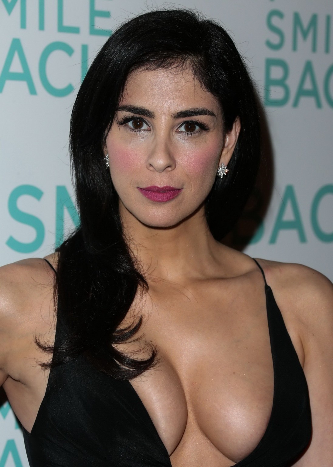 Sarah Silverman cleavy showing off her huge boobs #75150979