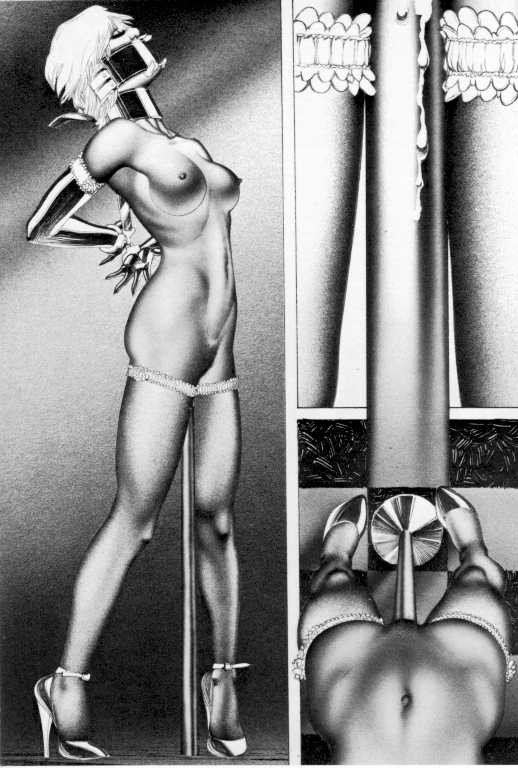 Klassisches Robert Bishop Bdsm-Kunstwerk
 #72226415