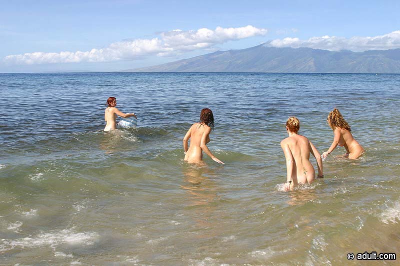 Des filles en bikini sexy s'amusent à quatre sur une plage ensoleillée.
 #72320113