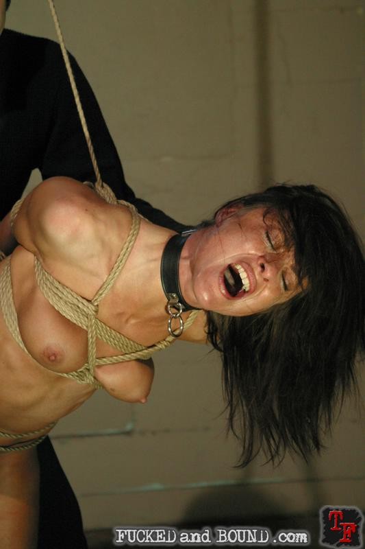 Sklavenmädchen cecilia vega wird gefesselt und hart gefickt von sascha 
 #72129753