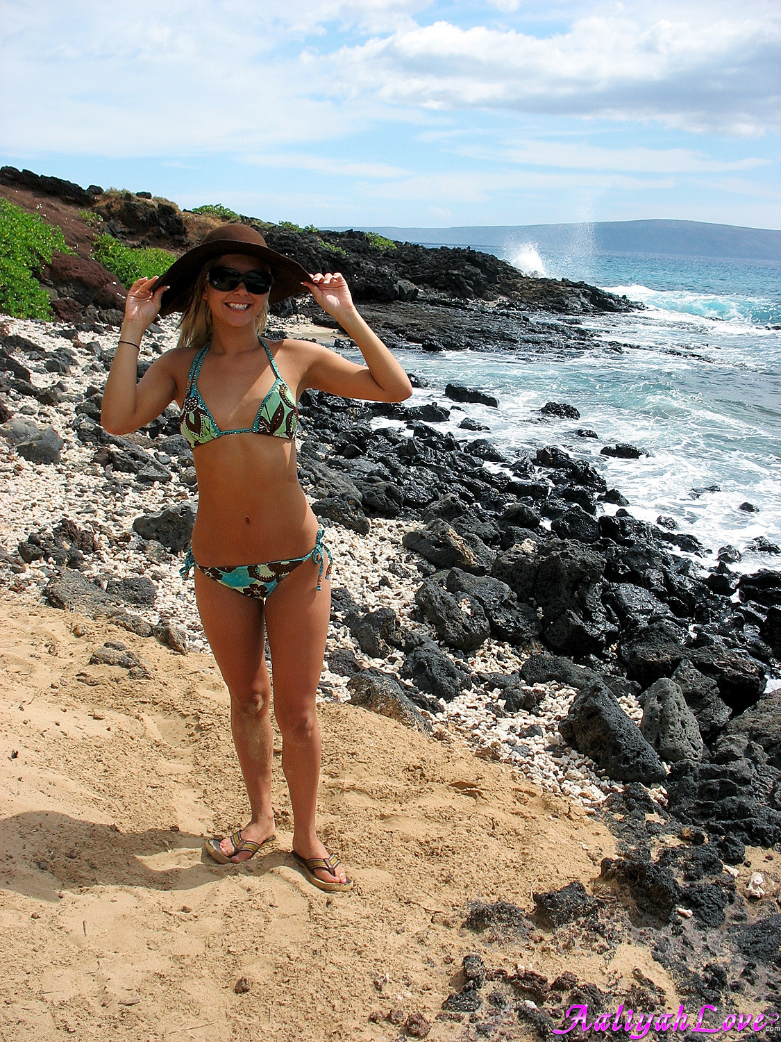 ゴージャスなAaliyah Loveがハワイのビーチで裸になる
 #67617404