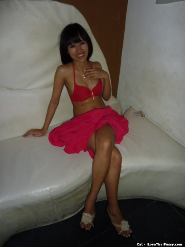 Sporche prostitute thailandesi scopate da un turista sessuale svedese arrapato in vacanza
 #67979649