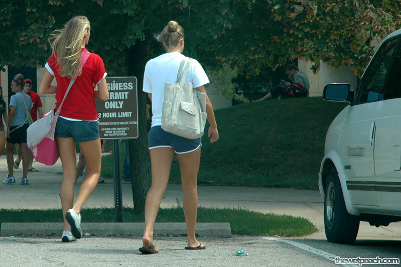 キャンパス・キューティーズ
 #71146053