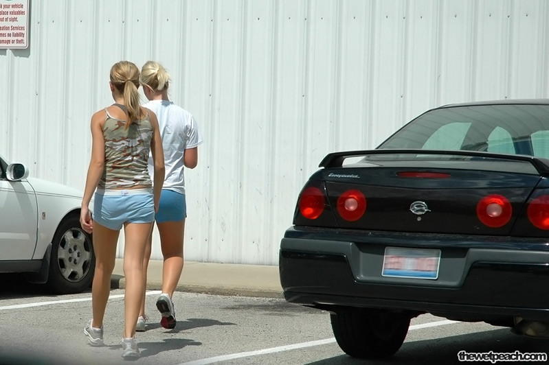 キャンパス・キューティーズ
 #71146060