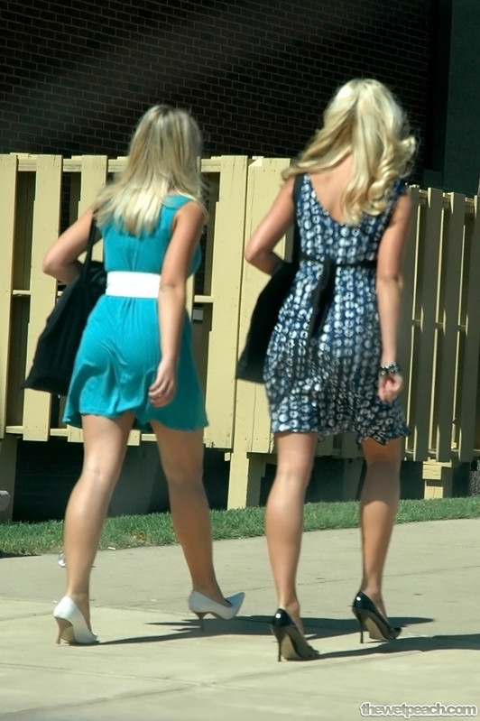 キャンパス・キューティーズ
 #71146074