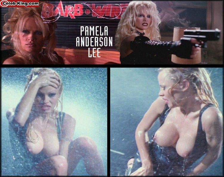 Heiße Berühmtheit Pamela Anderson zeigt ihre großen Brüste
 #75415289