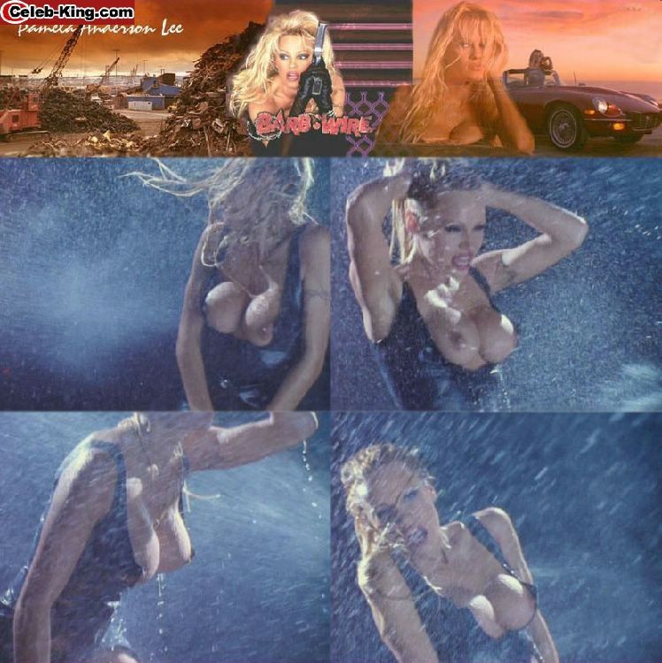 Heiße Berühmtheit Pamela Anderson zeigt ihre großen Brüste
 #75415330