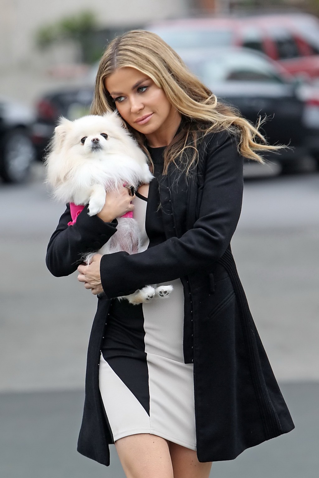 Carmen electra indossa mini abito stretto fuori con il suo cane a La
 #75236633