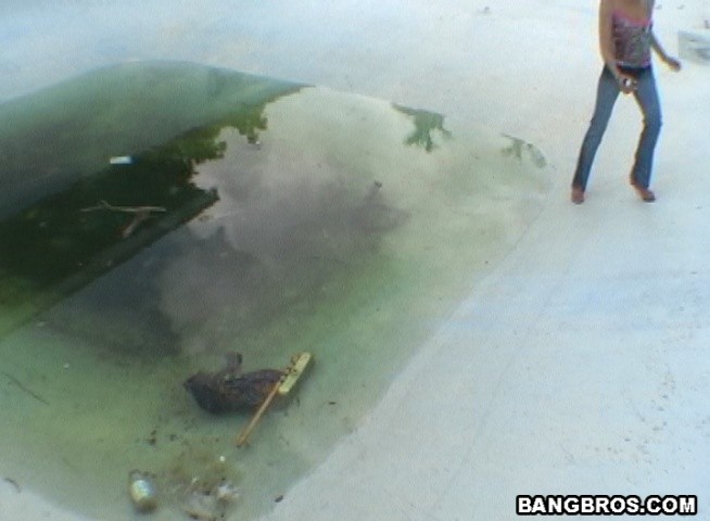 Nicht sehr hell aussehende schlampige Küken könnte ihren Arsch zeigen
 #78613983