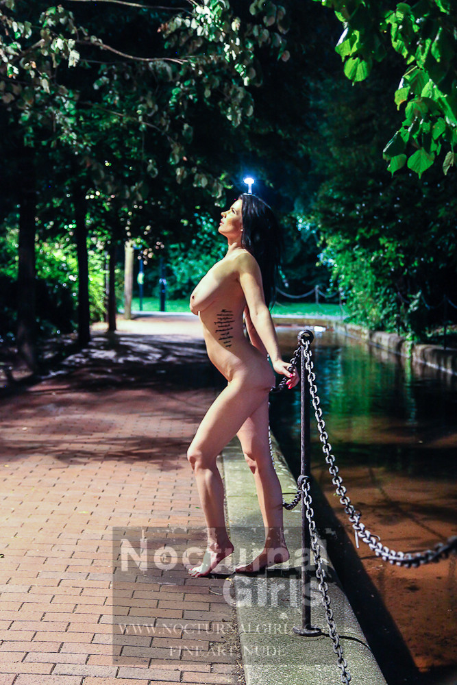 Tasha holz posant nue dans la nuit
 #72965322