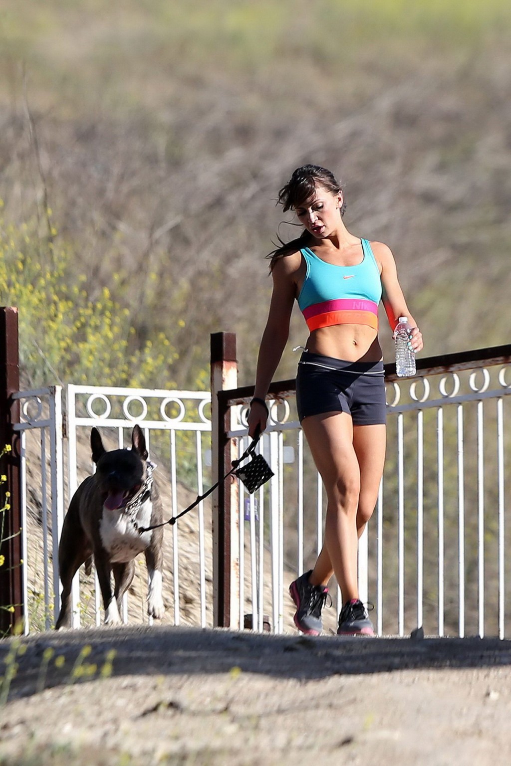 Karina smirnoff en sujetador deportivo y pantalón corto haciendo senderismo con un perro en el parque de la
 #75196776