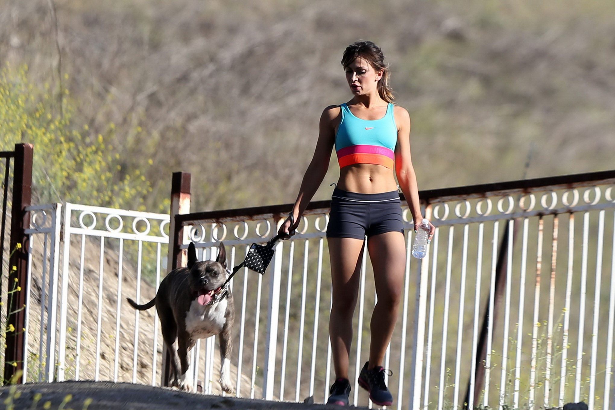 Karina Smirnoff in sports bra and shorts hiking with a dog at the park in LA #75196785