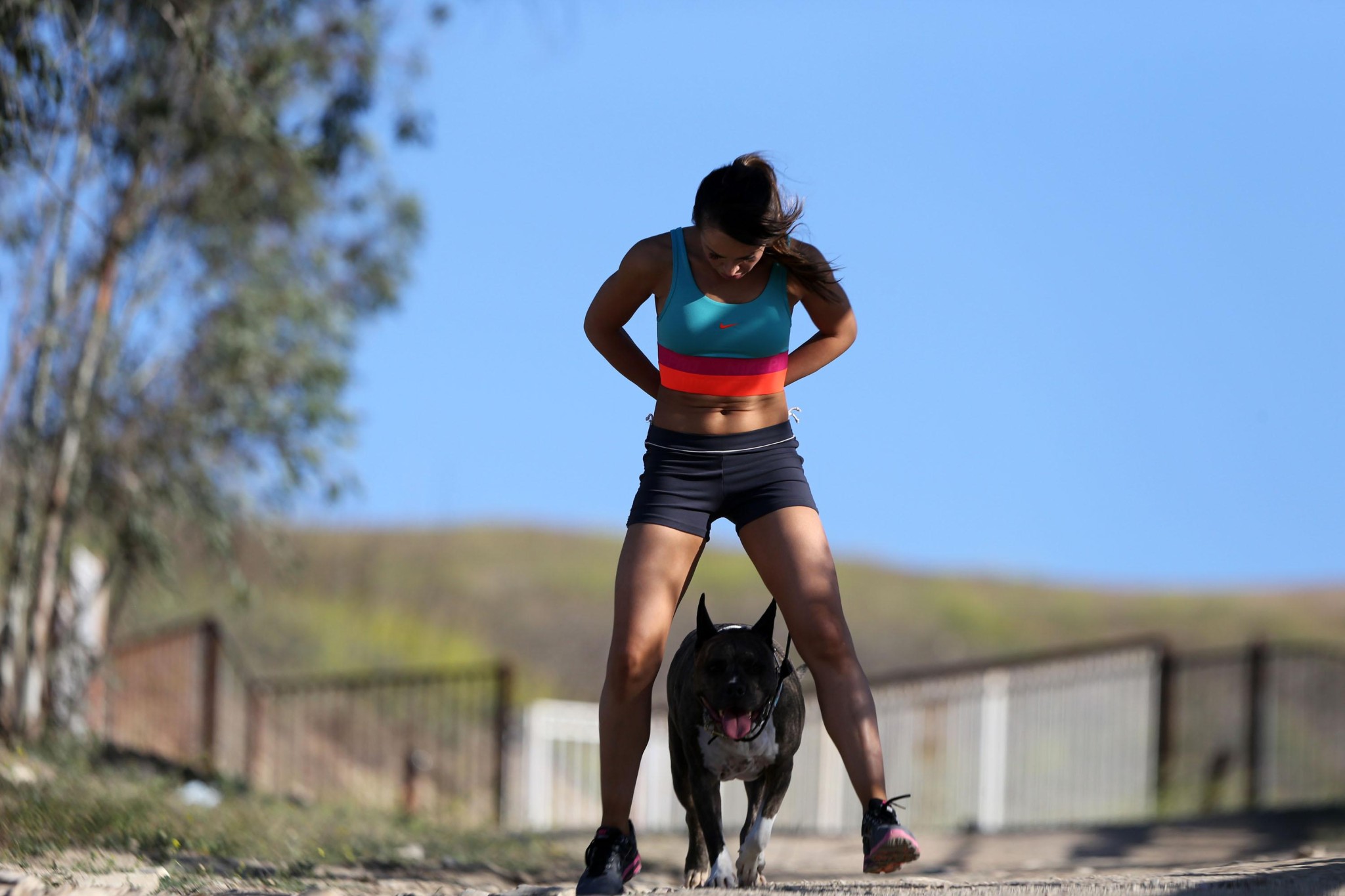Karina smirnoff en brassière et short de sport en randonnée avec un chien dans un parc à la...
 #75196798