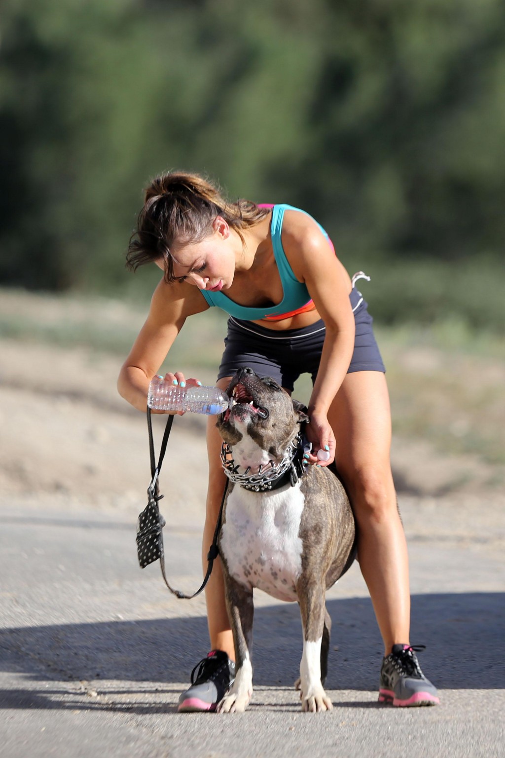 Karina smirnoff en sujetador deportivo y pantalón corto haciendo senderismo con un perro en el parque de la
 #75196801