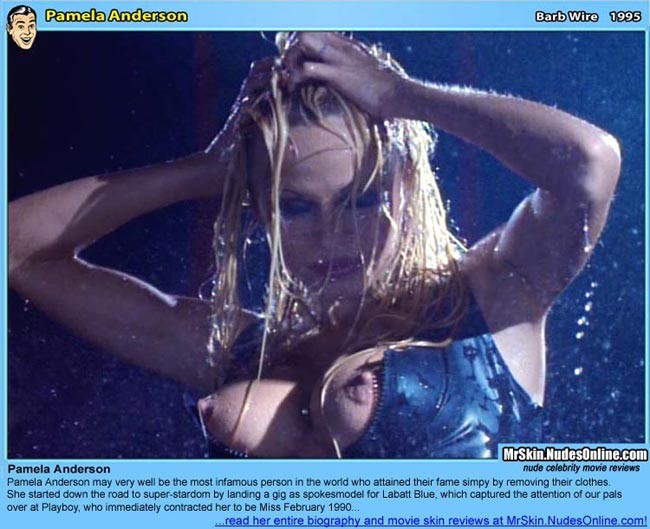 Pamela anderson zeigt ihre Brüste
 #75444472