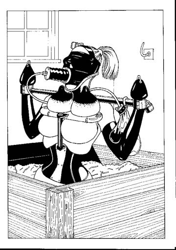 Extreme Hardcore sexuelle Bondage Kunst
 #72226656