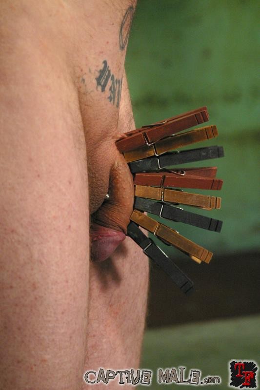 Asiática domina practicando la tortura de polla y bolas de un hombre atado
 #69952987