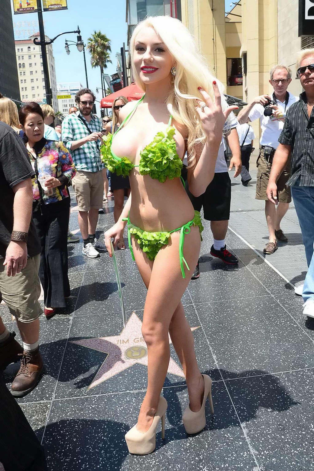Courtney Stodden shows off her curvy body wearing tiny lettuce leaf bikini in Ho #75223114