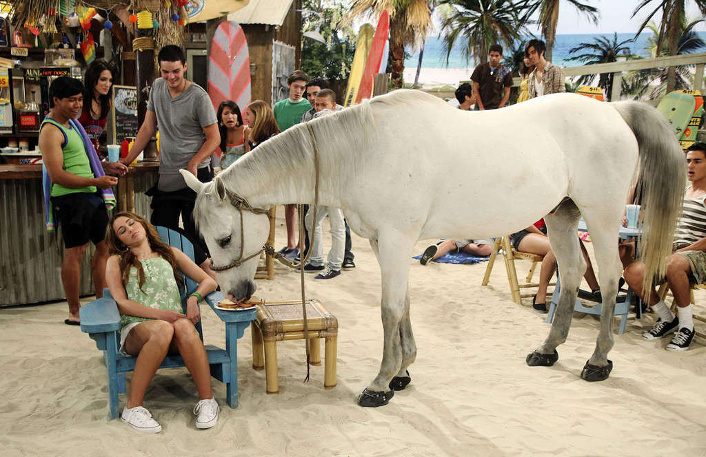 Miley cyrus photos très sexy et chaudes de la jeune chanteuse avec des chevaux
 #75357498