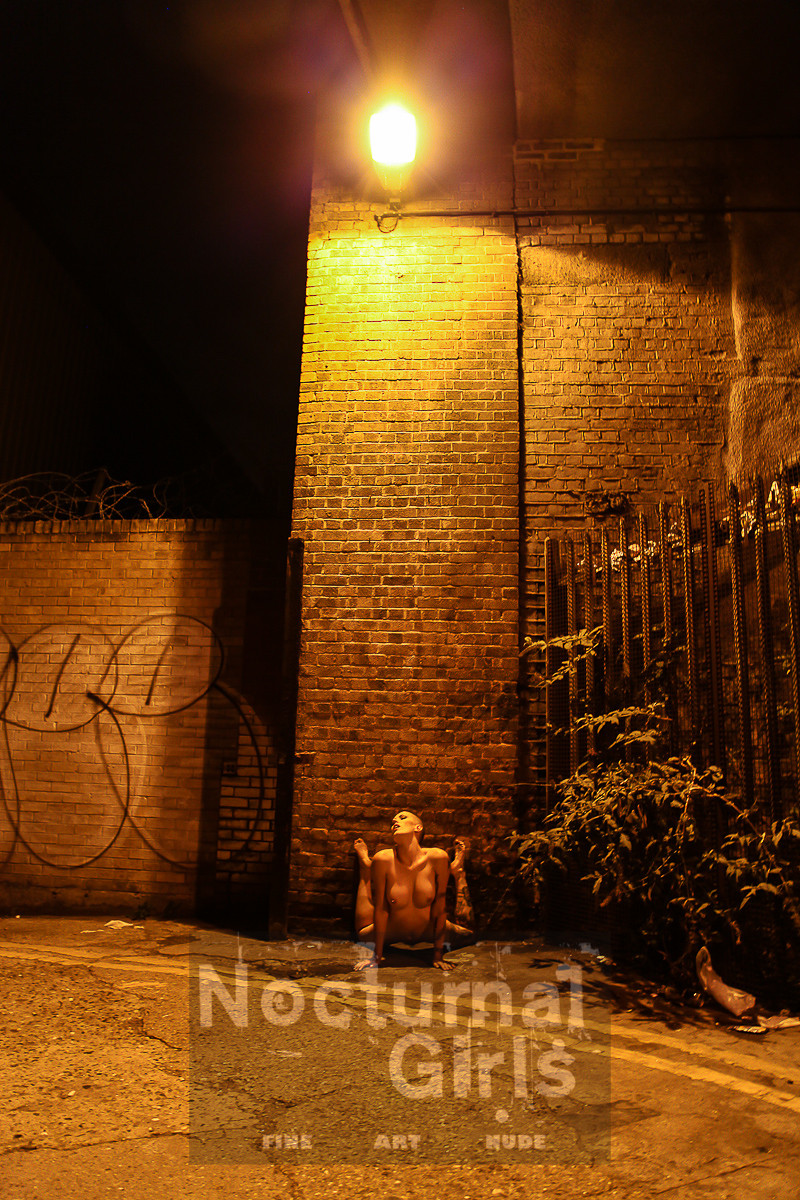 Tätowierte Mädchen posieren nackt in der Nacht
 #70775556