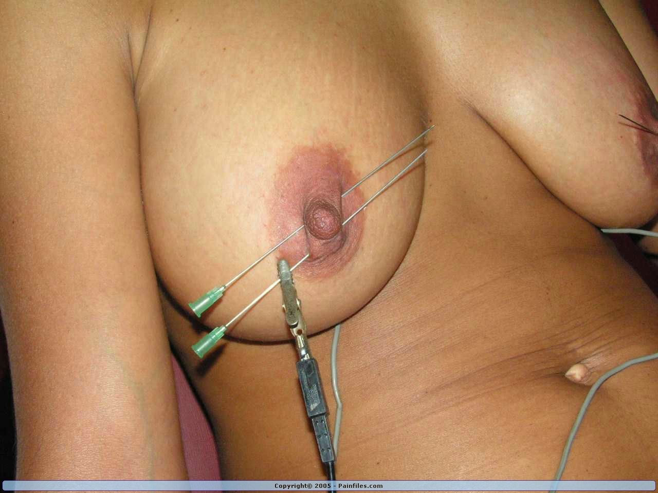 Newbie bdsm slavegirls needle and electro torment #72203793