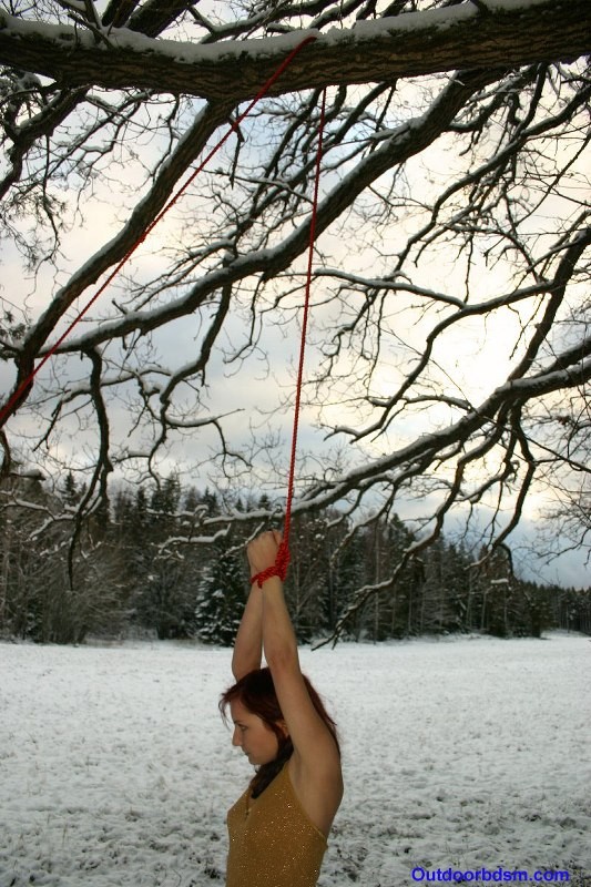 Bondage and bdsm in the snow #72225741