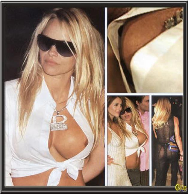 Pamela Anderson zeigt prächtige Brust
 #75445930