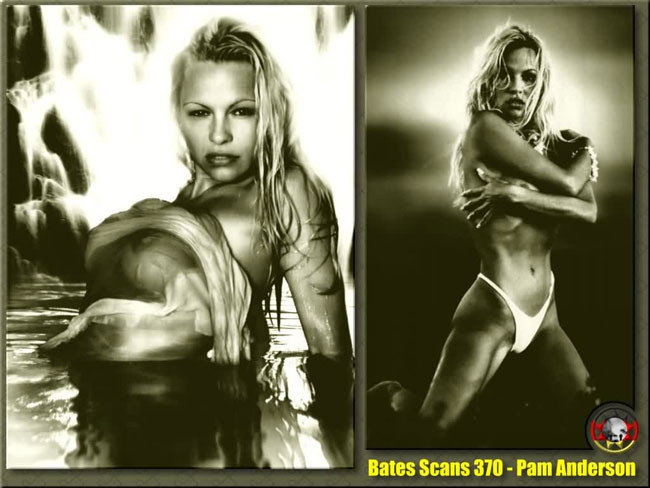 Pamela Anderson zeigt prächtige Brust
 #75445992