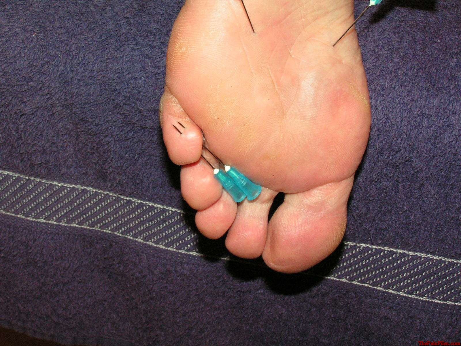 Madura painsluts electro tortura y dolor de la aguja en los pezones y los pies para sophia
 #72010435