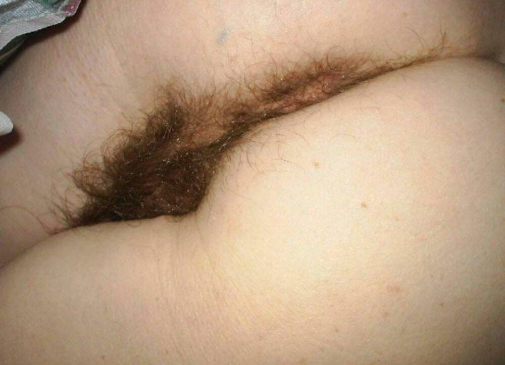 Hairy pussy gfs posing and fucking #67252519