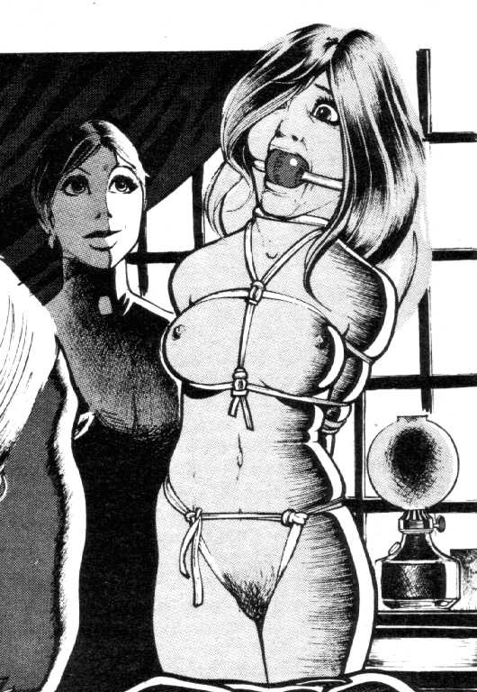 Magnifique art du bondage avec des femmes bâillonnées.
 #69682356