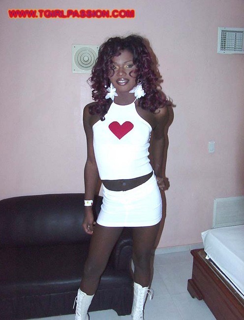 Dominikanische Transe streichelt ihr riesiges schwarzes Liebesspielzeug
 #79342415
